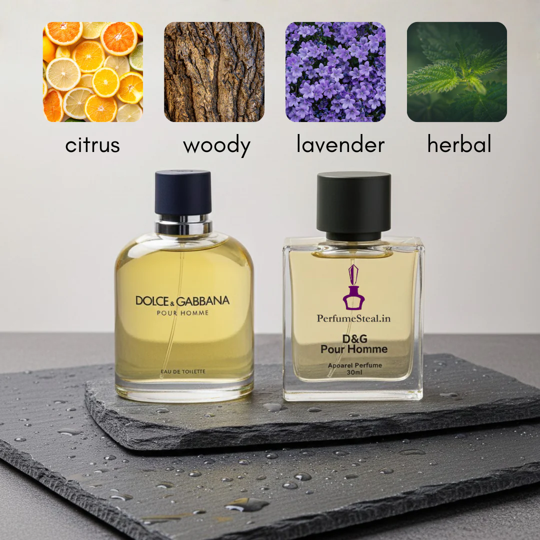 D&G Pour Homme type Perfume - Image 5